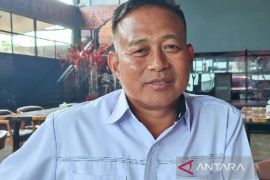 Polda Papua amankan 19 kilogram ganja asal PNG