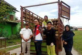 Wabup Belitung minta pangkalan elpiji tiga kilogram prioritaskan masyarakat sekitar