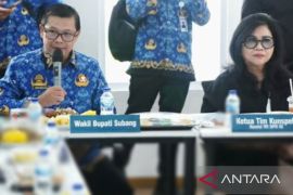 Pemkab Subang anggarkan Rp324 juta setahun untuk bayar konsultan UMKM