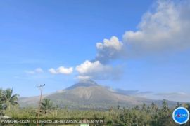 Gunung Lewotobi Laki-laki erupsi enam kali dalam enam jam pada Sabtu