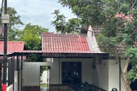 BKSDA Batam tangani 8 laporan kera ekor panjang yang masuk pemukiman