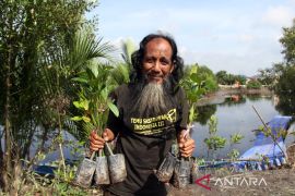 Penanaman 3000 batang bakau merah di Dumai Page 3 Small