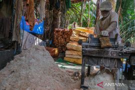 Sagu dibidik jadi bahan baku murah bioetanol