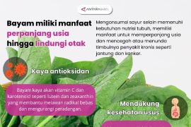 Bayam miliki manfaat perpanjang usia hingga lindungi otak