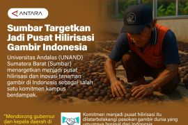 Sumbar targetkan jadi pusat hilirisasi gambir Indonesia