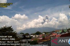 Mount Marapi erupts, ash column reaches 1,000 m in West Sumatra