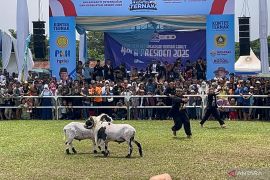 Kontes domba hingga Inovasi alat tani warnai Hari Peternakan ke-189 di Bogor
