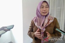 Tingginya investasi masuk di Karawang kurang pengaruhi serapan tenaga kerja