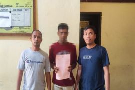 Polres Pasangkayu tangkap pelaku pembunuh karyawati PNM