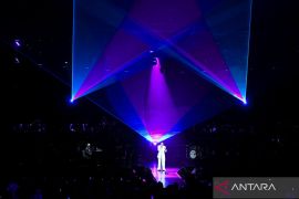 Siapa Piche Kota tersangka kasus pemerkosaan anak di Belu NTT?