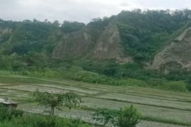 Menikmati Ngarai Sianok terkini , susuri juga Kelok 44 hingga Danau Maninjau