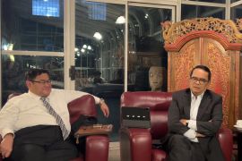 UN Assembly pushes for global recognition of Palestine: Indonesia