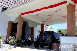 Pemkab Sigi usulkan 1.180 tenaga honorer jadi PPPK Paruh Waktu