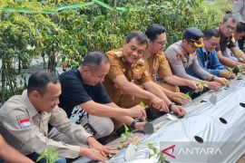 Harga cabai di Jateng masih terkendali