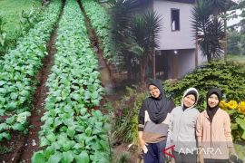 Universitas Djuanda kenalkan siswa madrasah pertanian terpadu di Tapos Farm