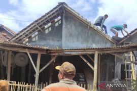 BNPB: Angin kencang di Jember rusak 55 rumah, timbulkan korban luka