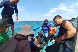 Pertamina  terminal Biak lestarikan Ekosistem Pesisir Laut Waupnor melalui taman laut Pertamina