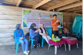 Faperta Untad latih petani sayuran di Poso