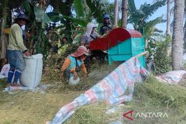 Bulog Sumut serap gabah petani 33.456 ton  hingga 21 September 2025