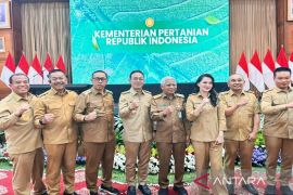 Ini fokus Pemkab pada program hilirisasi pertanian di Mandailing Natal