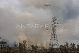 Pemadaman kebakaran lahan di Ogan Ilir Page 4 Small