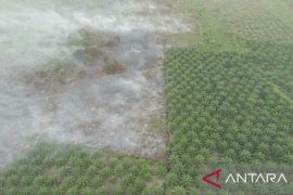 Karhutla di Aceh Barat meluas hingga 12,8 hektare