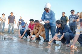 Pemkot Kupang menggandeng Rotary Rastamores tingkatkan pelestarian laut