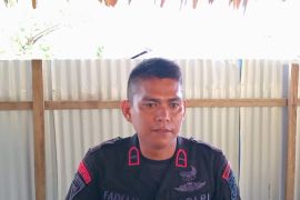Polda Maluku amankan 17 anggota brimob usai kasus pengeroyokan warga