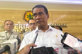 Mentan pastikan harga ayam terjaga demi lindungi peternak-konsumen