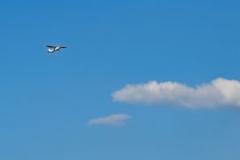 Menengok Wanzhi, kota di China tempat 200 perusahaan aviasi beroperasi