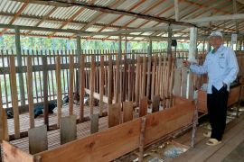 Baznas Singkawang membangun balai ternak kambing untuk umat