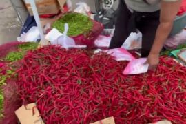 Harga cabai merah naik di Kota Jambi akibat pasokan minim