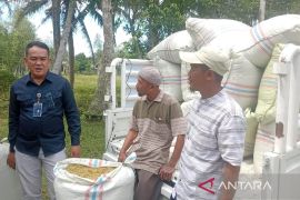 Bulog Sumut gencarkan  penyerapan gabah petani perkuat cadangan beras