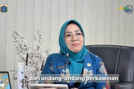 US-Indonesia couples dominating mixed marriage in Jakarta: Official