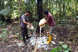 Polda Malut amankan alat penyulingan miras tradisional di Halsel