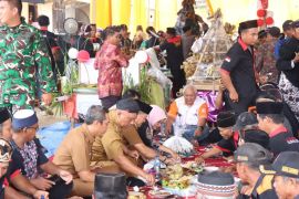 Wakil Bupati Lampung Tengah hadiri kirab budaya HUT ke -68 Dusun Sriwaluyo II