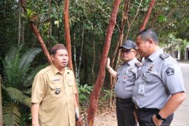 Kanwil Kemenkum Babel pastikan keaslian dan produk madu Pelawan Namang