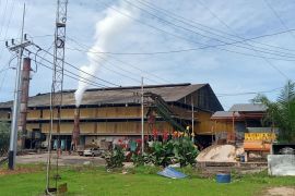 PLN dorong produktivitas industri sawit di Landak