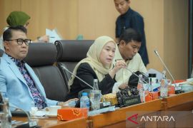 Anggota DPR dukung langkah pemerintah tangguhkan 190 izin tambang