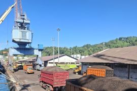 Balai Karantina fasilitasi ekspor cangkang sawit Sumbar ke Jepang