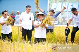 Transformasi ekonomi Sulut menuju masa depan berkelanjutan