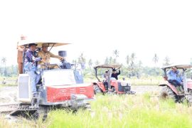 Bupati Serdang Bedagai dan Forkopimda buka gerakan optimasi lahan rawa