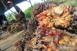 Realisasi PSR 2026 baru capai 18 persen dari target