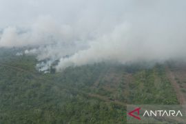 Karhutla di Aceh Barat semakin meluas, bertambah menjadi 19,8 Ha