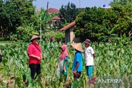 Wakil Ketua DPRD Kota Bogor serap aspirasi petani Mulyaharja saat reses Hari Tani