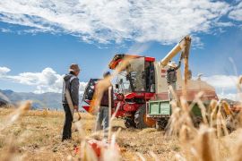 Potret petani di Xizang rayakan festival panen