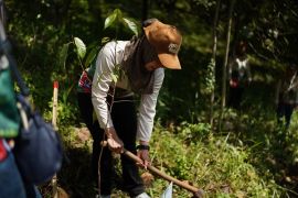 Pertamina Patra Niaga RJBB tanam 100 pohon endemik di Kehati Kiara Payung