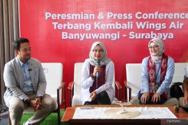 Tiket penerbangan perdana Banyuwangi-Surabaya habis terjual
