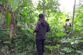 DLH Sulsel: Perhutanan sosial berikan akses legal bagi masyarakat