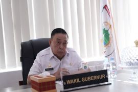 Wagub meluncurkan Satgas Swasembada Pangan Sulbar